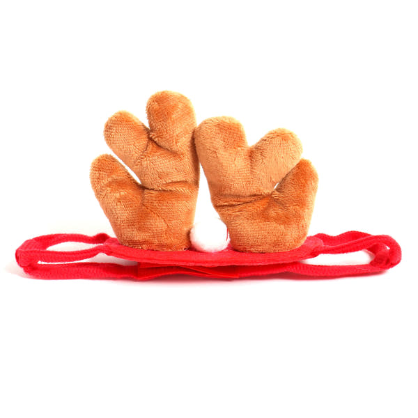 😻🎄 Katt Julekostyme