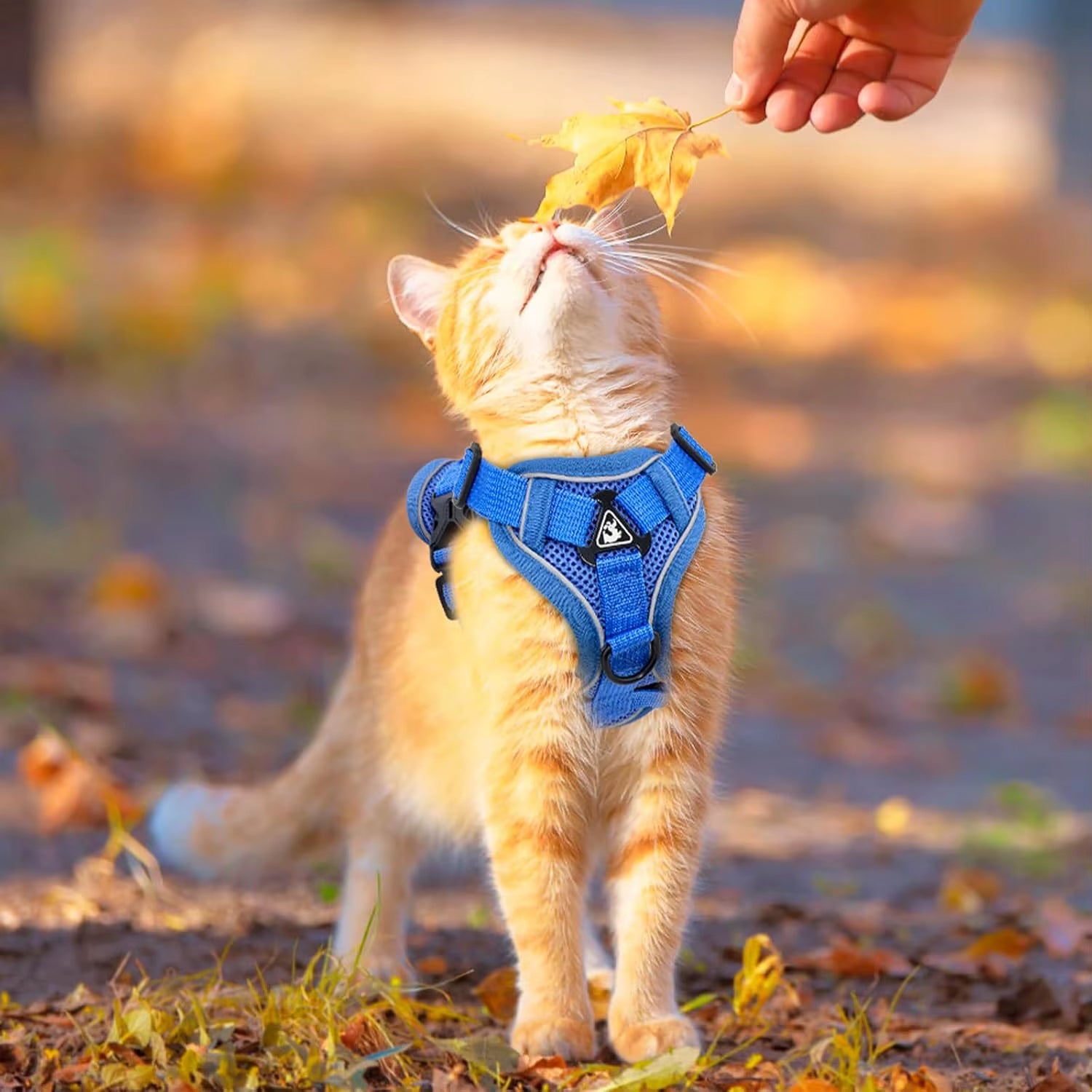 Justerbar Katte Sele